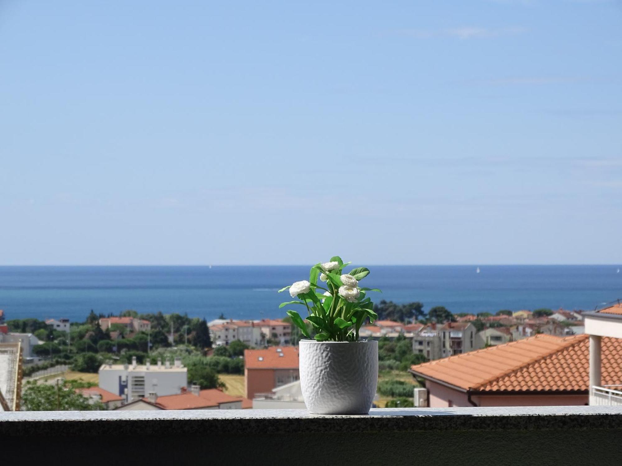 Apartment Bellavista Novigrad  Luaran gambar